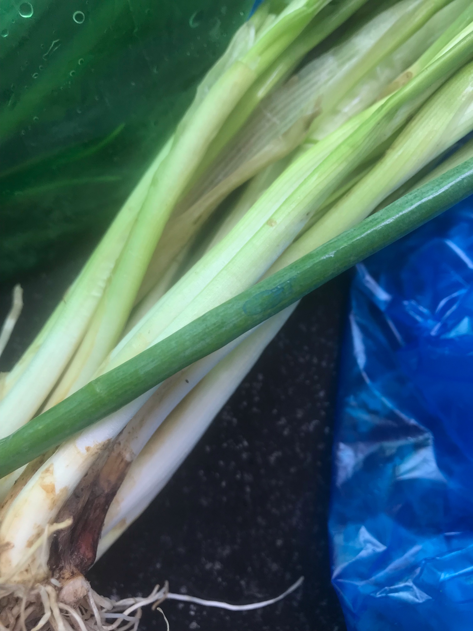 想问一下大家,给小葱染色算不算食品安全问题?